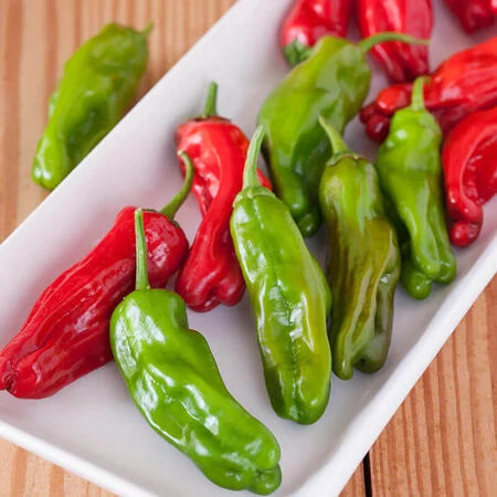 Shishito Pepper PICK UP ONLY